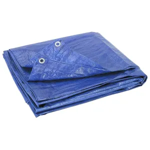 30' x 50' Blue Poly Tarps (5 mil) - Single