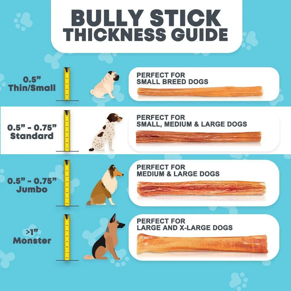 6" Curly Bully Sticks for Small & Medium Dogs