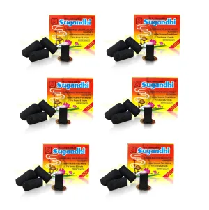 Airtick Box Pack of 6 (20 Sticks Per Box) Sugandhi Sambrani/dhuna Dhoop Agarbatti Instant Incense Pure Natural for Aroma & Smoke, Home Temple Worship, Peace & Harmony, Purification, Positivity