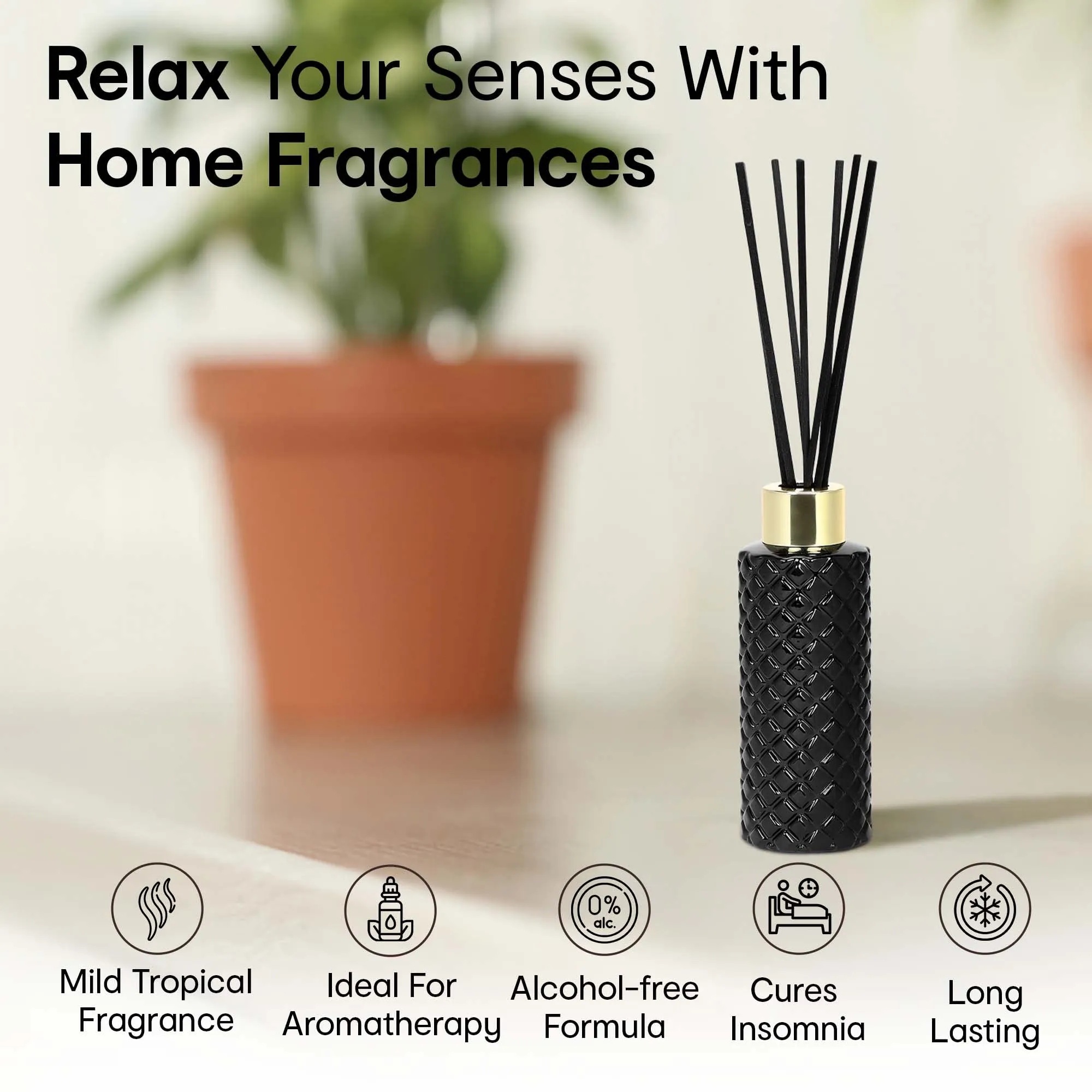 Anko Black Bergamot Geo Fragrance Reed Diffuser Set | Home decor accessory with soothing aroma for Office Home & gifting | Toxin-Free Room Freshener with 8 Reed Sticks free for long-lasting scent | 100 ML