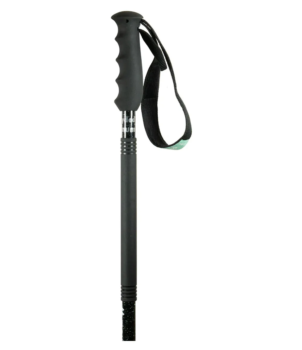 ecoTOUR 2pc Adjustable Touring Pole