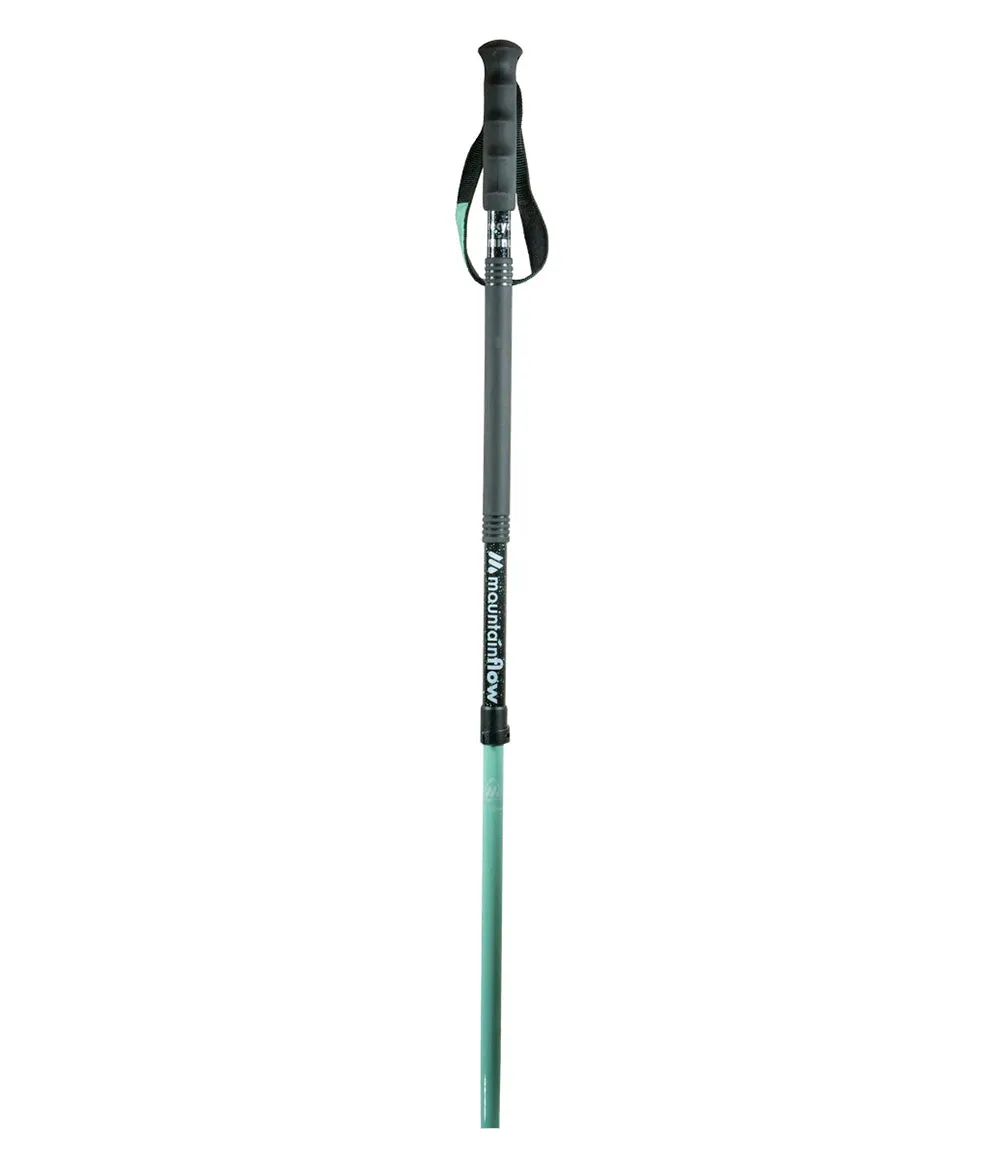 ecoTOUR 2pc Adjustable Touring Pole