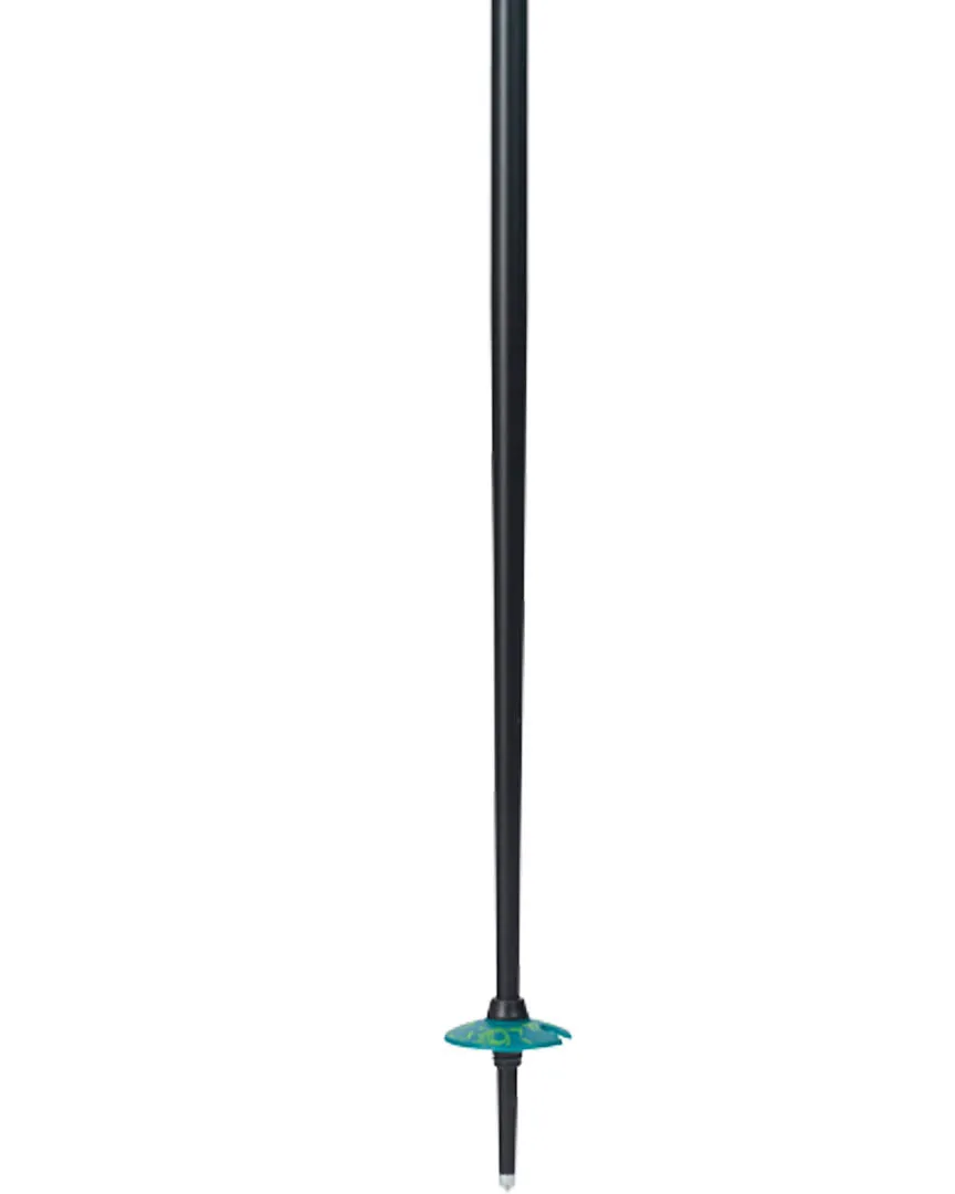 Paint Brush Ski Poles - Black/Green