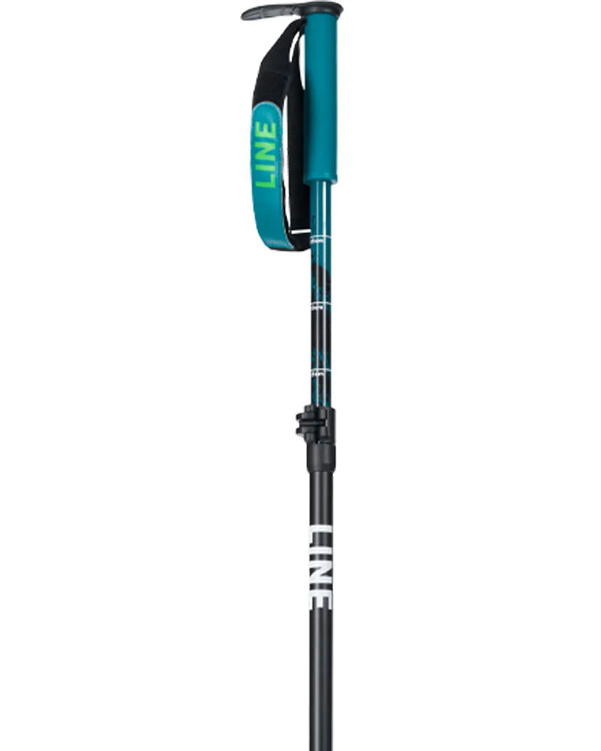 Paint Brush Ski Poles - Black/Green