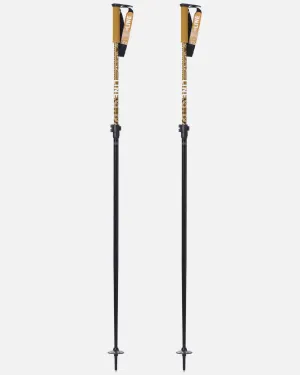 Paintbrush Ski Poles 2025